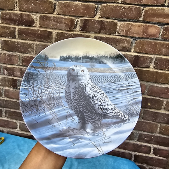Knowles Plate Number 1588B in the Limited Edition of The Snowy Owl by Jim Beaudo - Picture 2 of 5